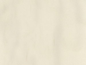 Bl 015 Champagne