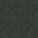 Gl 006 Cygnus