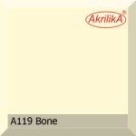 a119_bone