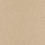 Mojave