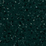 Io
T009